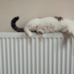 Comfortabel wonen met slimme warmte